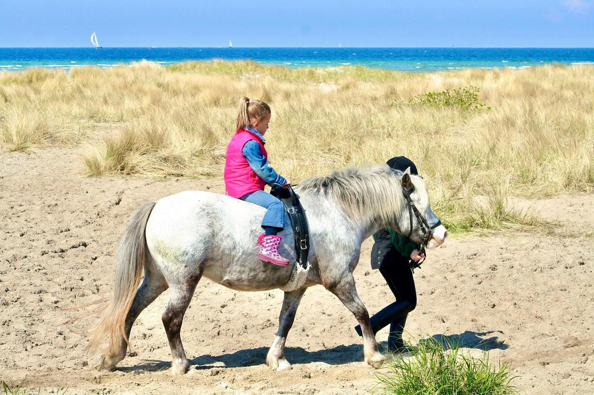 Ferienwohnung Strandliebe Lutterbek Dış mekan fotoğraf